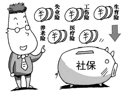 社保组成示意图