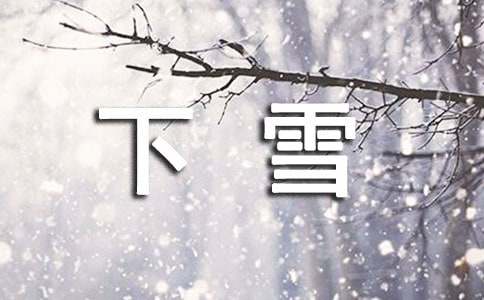 实用的下雪的日记3篇