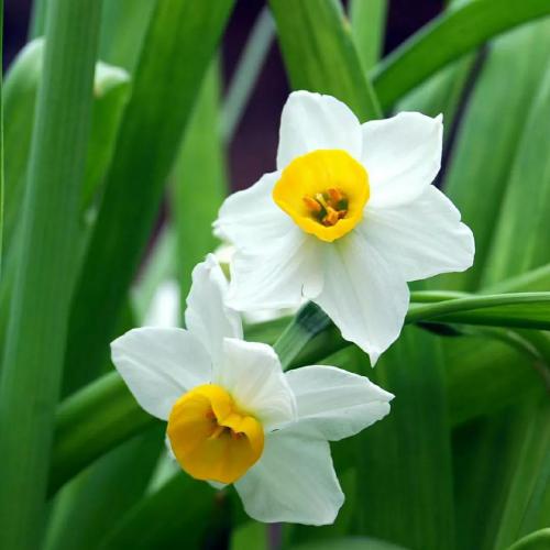 适合长期不换的头像，20张微信头像，各种风格，不重样