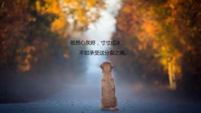 暗示要离开的诗句 暗示对方要分手的诗句