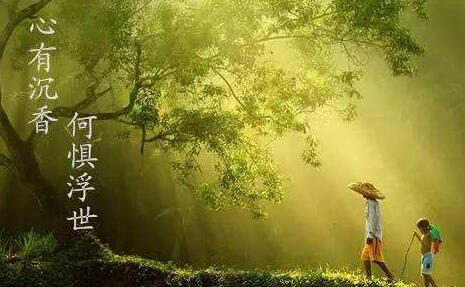 心有沉香,何惧浮世