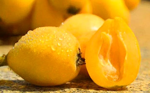 一棵枇杷树作文