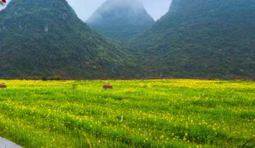 春游方案精华[10篇]