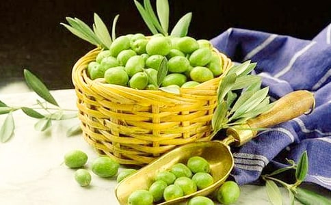 战马与橄榄树作文