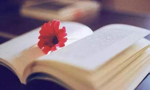 用无所谓的态度，过好随遇而安的生话