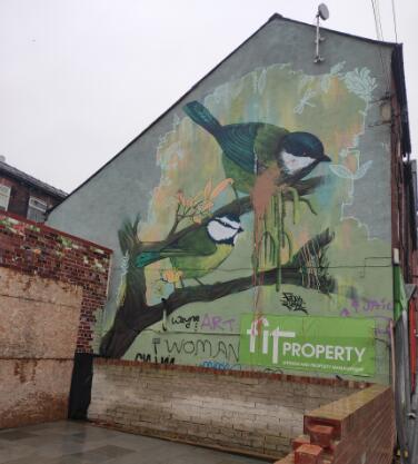 谢菲尔德的涂鸦