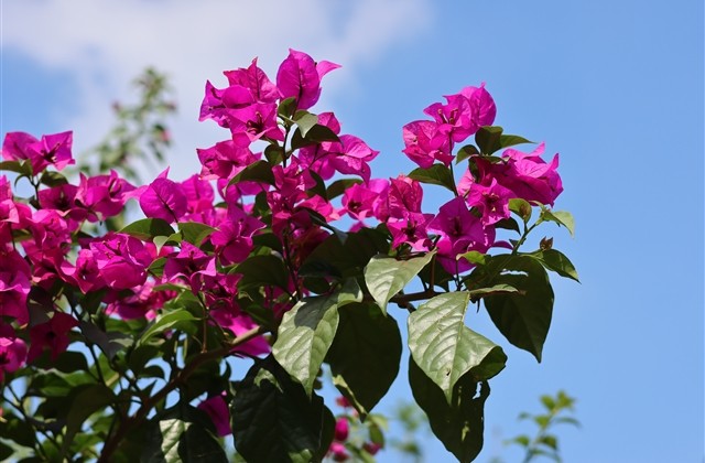 2024祝福语简短创意