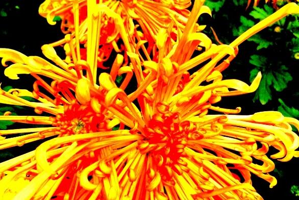 爱是一辈子的事