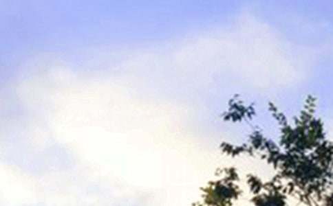 通用治愈系早安问候语集合30句