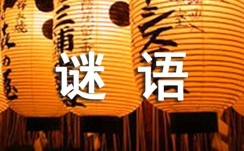 关于有趣的谜语大全及答案