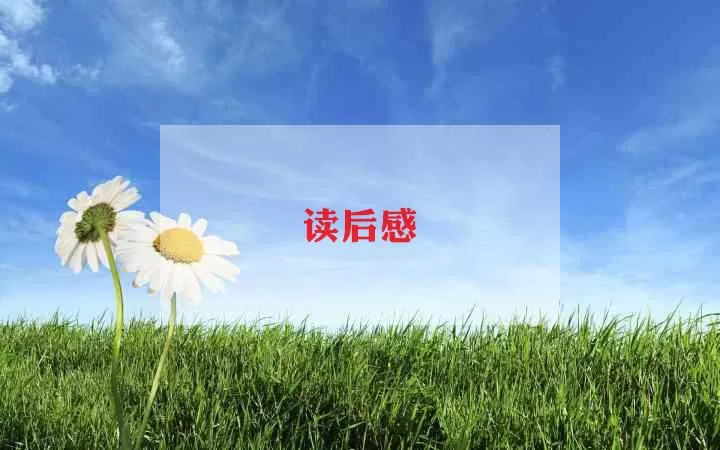 书本《背影》读后感范文通用