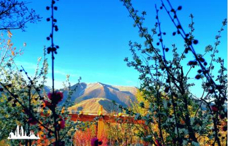 心路宽敞不计较