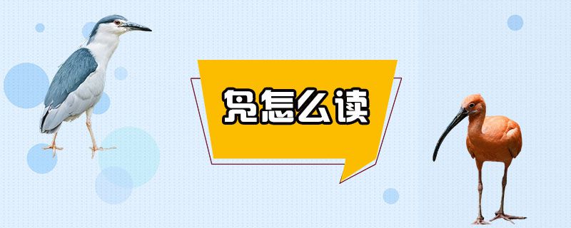 凫怎么读.jpg