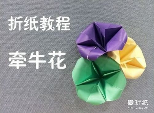 牵牛花的折法图解 手工折纸牵牛花的方法