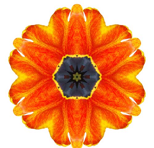 心经全文注音及解释