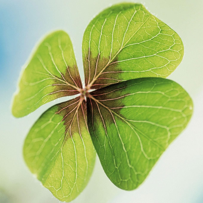 适合做微信头像的照片