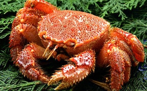 捉螃蟹小学优秀作文700字