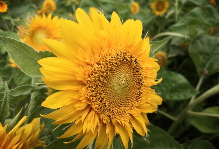 其实你啥也不是