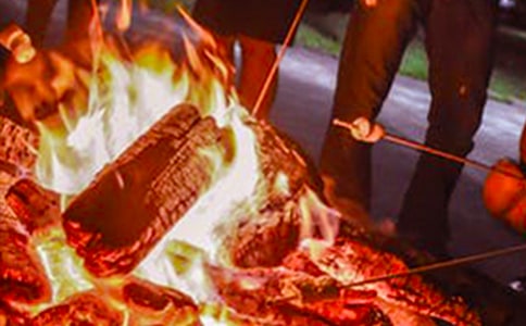 难忘的篝火晚会五年级作文