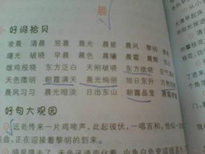 描写心爱之物的好词佳句 我的心爱之物的好词好句