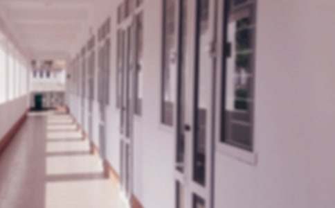 小学学校工作总结（精选17篇）