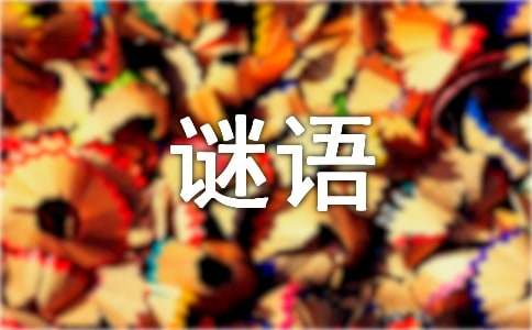 儿童猜谜语大全及答案合集