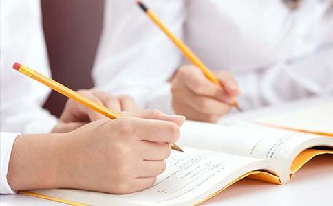 抓泥鳅作文(15篇)