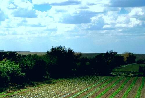 风是梦起的地方