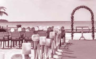 关于婚礼发言稿(通用6篇)