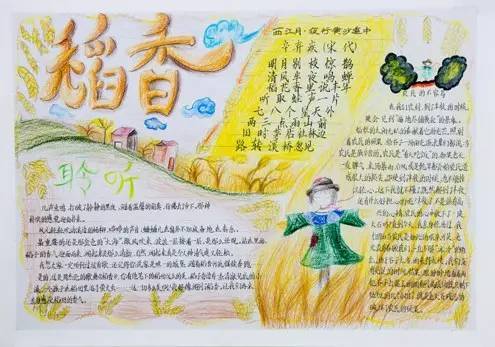 金秋时节稻花飘香手抄报图片