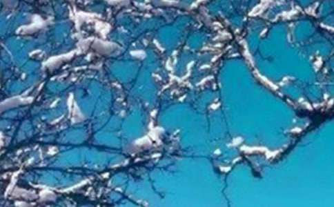 描写冬天的四字成语