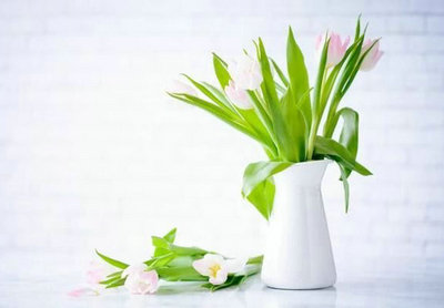 从来就没有卑微的生命,只有卑微的态度