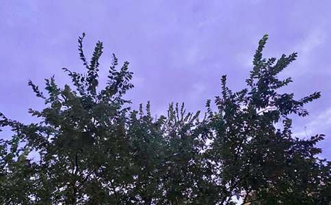 2024年经典每日一句早安心语朋友圈32句