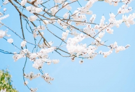 一个人的人生高度，取决于这四种修行