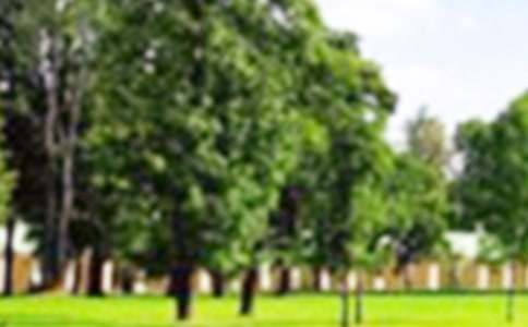 洋湖湿地公园一日游作文