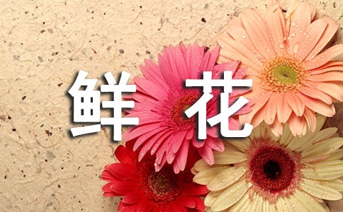 鲜花的造句