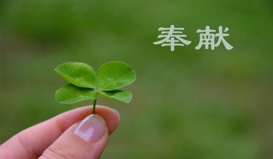 你们的奉献500字作文