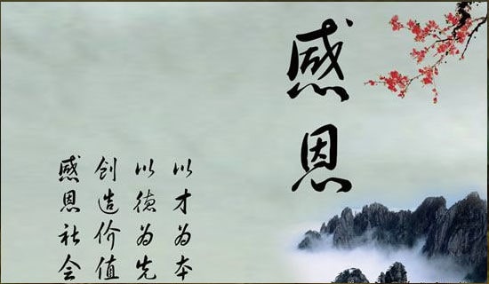 感恩那段青春时光高二作文