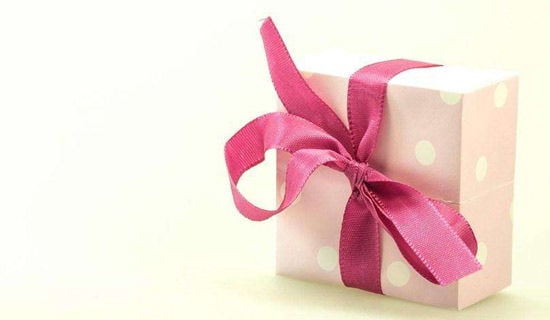 高二作文：弟弟的礼物