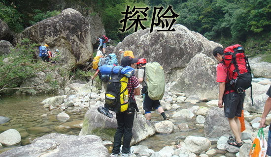 游香港之密林探险小学400字作文