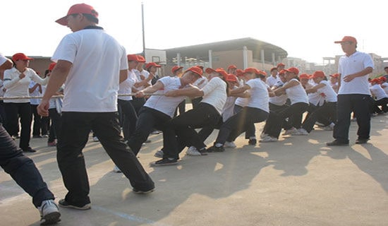 激动人心的拔河比赛作文8篇