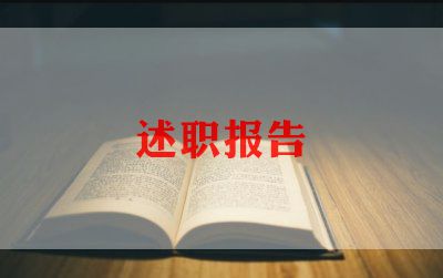 软件维述职报告6篇