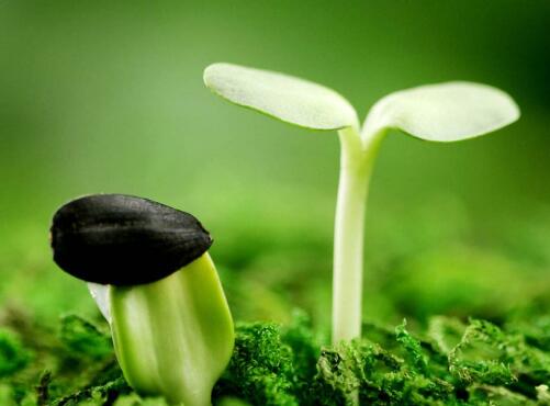 要树立正确的生死观