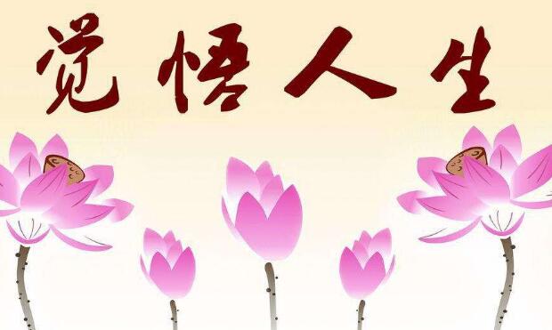 人生感悟经典语句摘抄