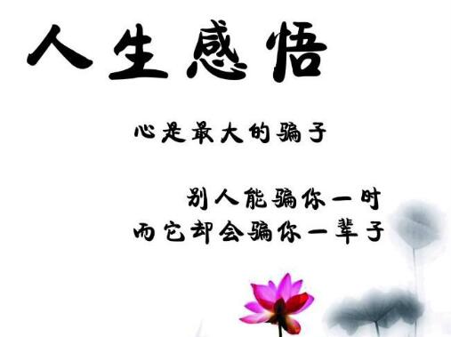 人生感悟的经典语录