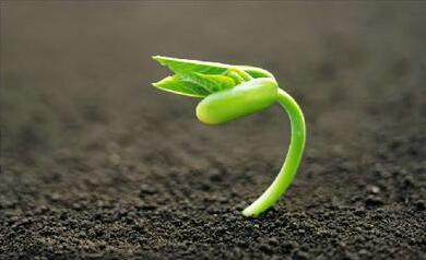 经历苦难的励志句子