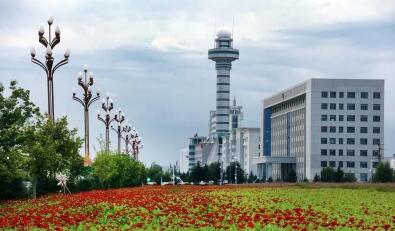 那一片花海为你盛开