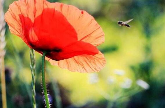 气短情长及其他