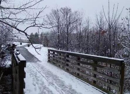 关于雪的散文《雪》