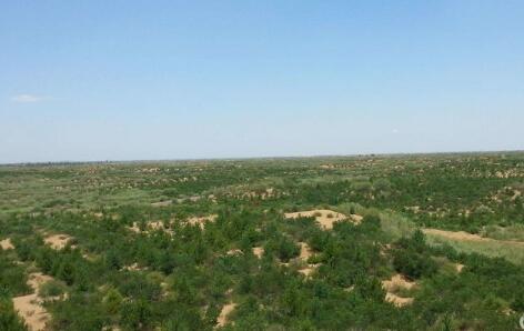 漠上那滴昭君泪